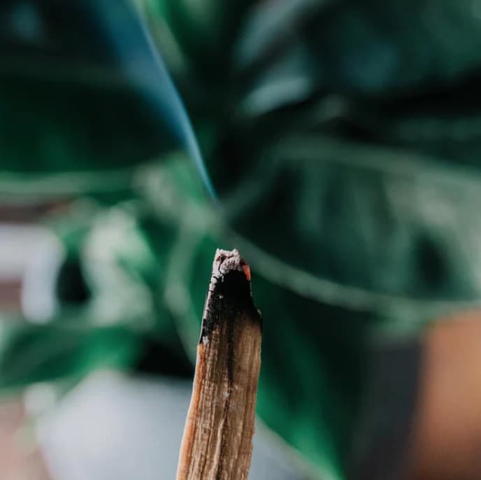 Smudge. PaloSanto & Sage