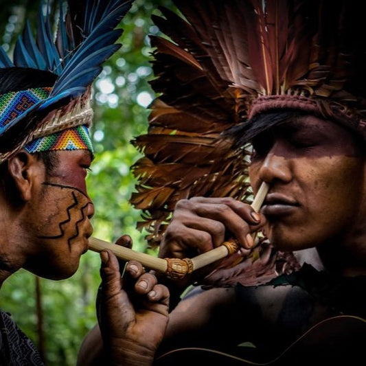 Ceremonial Rapéh powder Apurina